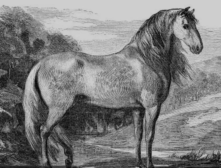 captura de pantalla 2026 01 20 a las 19.03.08